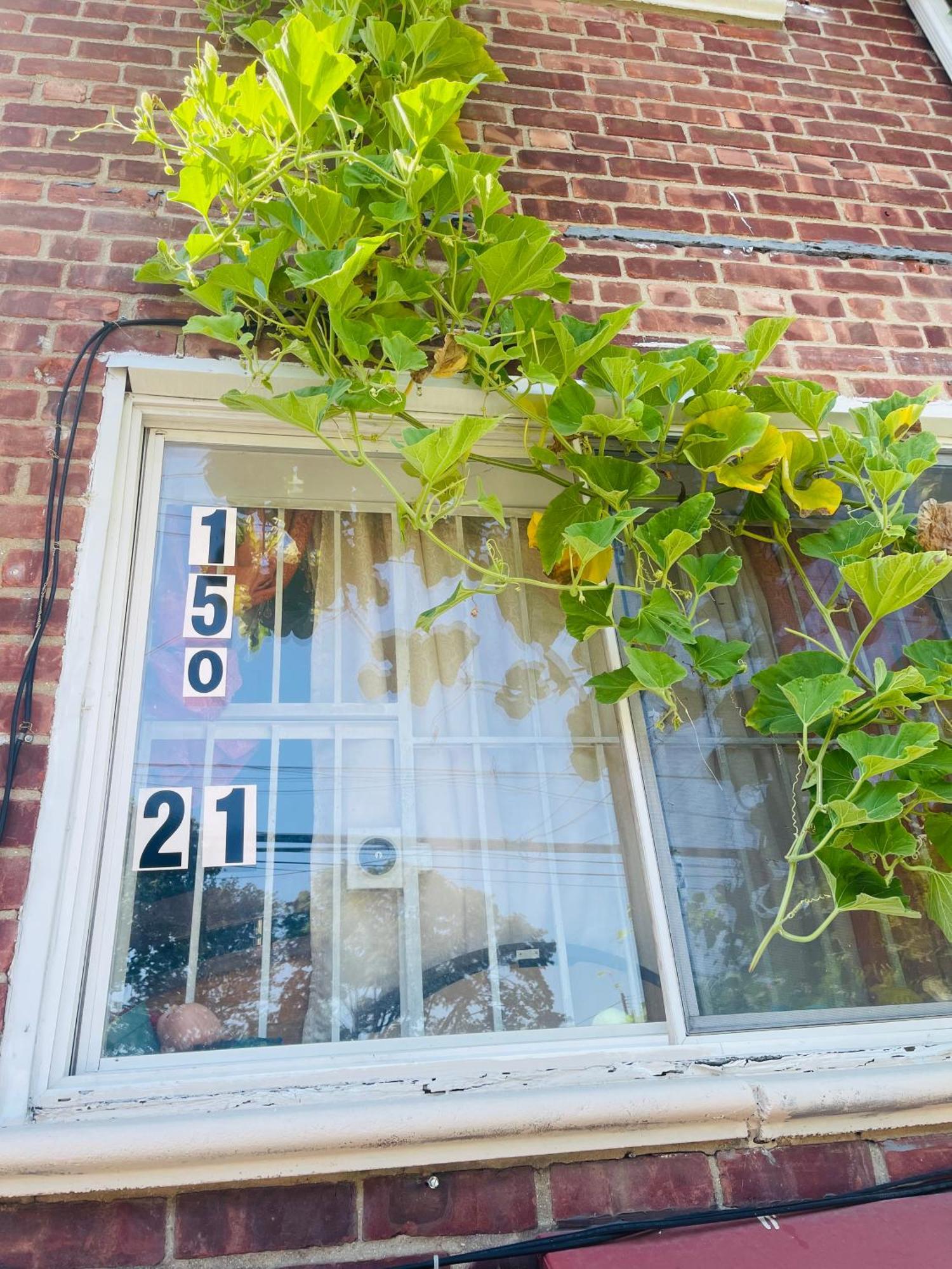 Visit & Relax Apartment New York Exterior photo